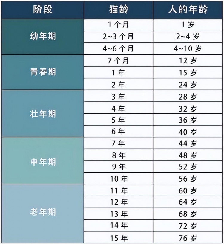 别再以为猫1岁=人类7岁了最新的年龄对照表在这里！