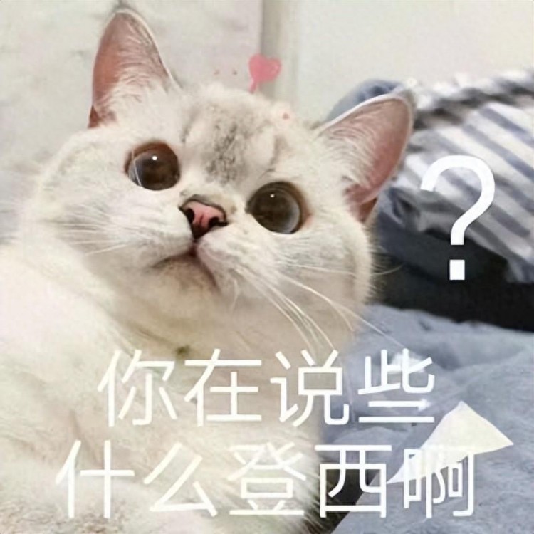 猫“讨厌”你的11大表现，占5个以上，说明它讨厌你！